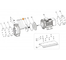 Рабочее колесо насоса SCA/CA80-65-125/9.2 Mayer Schwimmbad LX A03010165