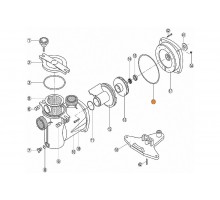 Прокладка крышки задней (фланца) насоса NK Kripsol RNK160.A/RBH0013.00R/RPUM0016.00R