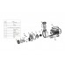 Гайка муфты d50 насоса Mayer Schwimmbad LX A31020010