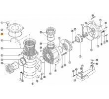 Прокладка-кольцо крышки префильтра насоса KAP Kripsol RKA 030.A/RBH0011.05R/RPUM0003.06R