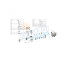 Прокладка-кольцо корпуса насосов SMP Mayer Schwimmbad