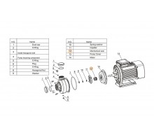 Сальник (компл.) насоса DWK50-100 Mayer Schwimmbad LX F01150062