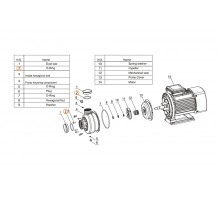 Прокладка-кольцо патрубка насоса DWK  Mayer Schwimmbad LX F02010051