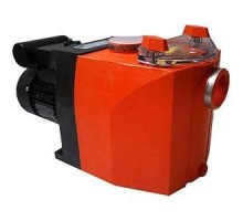 Насос ( 24 м3/ч 380В) Filterpump  Badu 40/32 Speck Pumpen (39104702/2040320037)