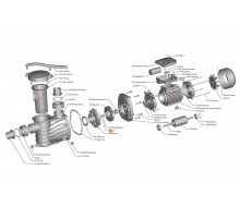 Шайба М10 пружинная рабочего колеса насоса HFC 02/03 AISI-304 Happy Pump