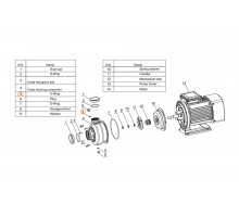 Прокладка-кольцо заглушки насоса DWK  Mayer Schwimmbad LX F03080001