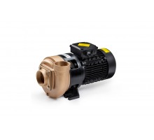 Насос бронзовый 2.2kw без префильтра Pahlen 11521