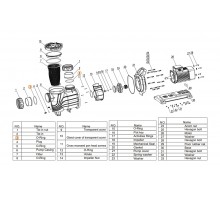 Прокладка-кольцо муфты d110 насоса Mayer Schwimmbad LX F02010199