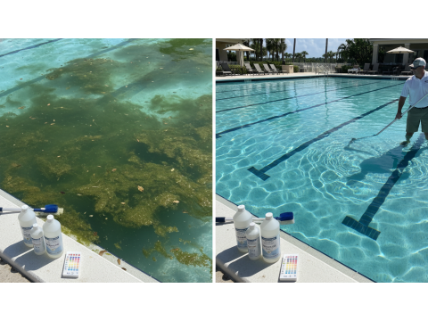 Как очистить воду в бассейне: причины мутности, цветения водорослей и способы устранения 2026