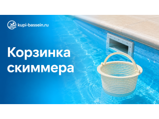 Как выбрать корзинку для скиммера бассейна: размеры, замена