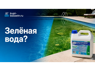 Почему вода в бассейне зелёная и как избавиться от водорослей