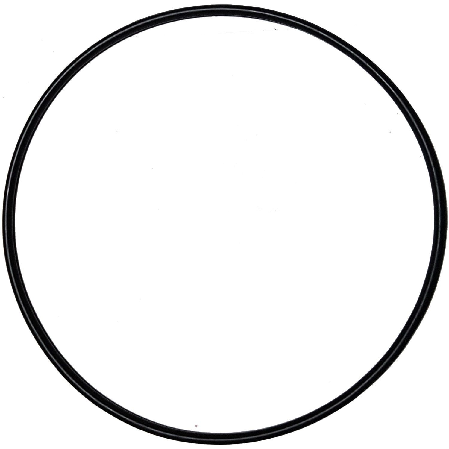 Резиновая прокладка под 6-позиционный кран фильтров Aquaviva V350 - V700 (02011134)